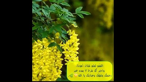 تلاوه شجيه ترقق القلوب