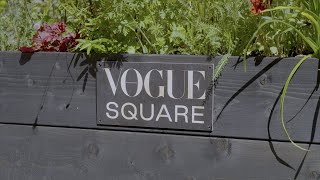 Watch our video and learn how to grow your own Vogue Squarehe square CURRENT v6