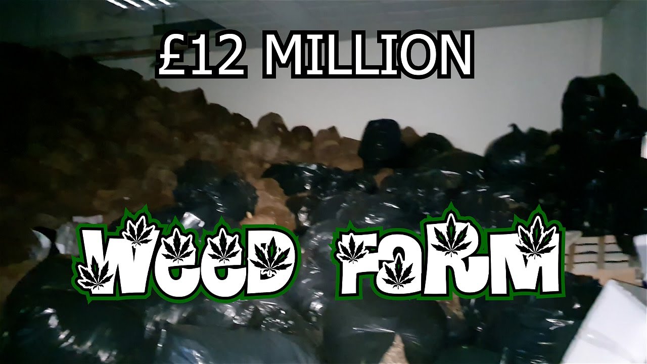 Abandoned Mega Farm: Inside the Country's Largest Grow... Urbex Scotland