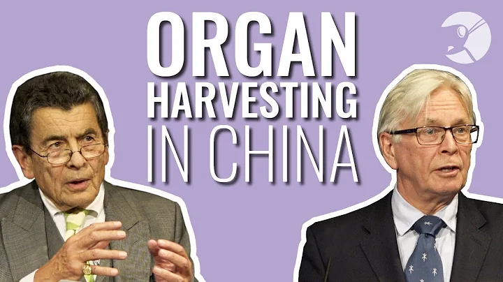 Organ Transplants and Human Rights Abuses in China - DayDayNews