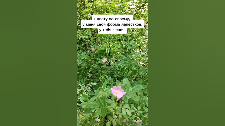 #яесть #бог #богатство #изобилие #жизнь #жизньпосле40 #любовь #духовность #позитив #психология