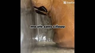 Love U Sooooo Et Dsl