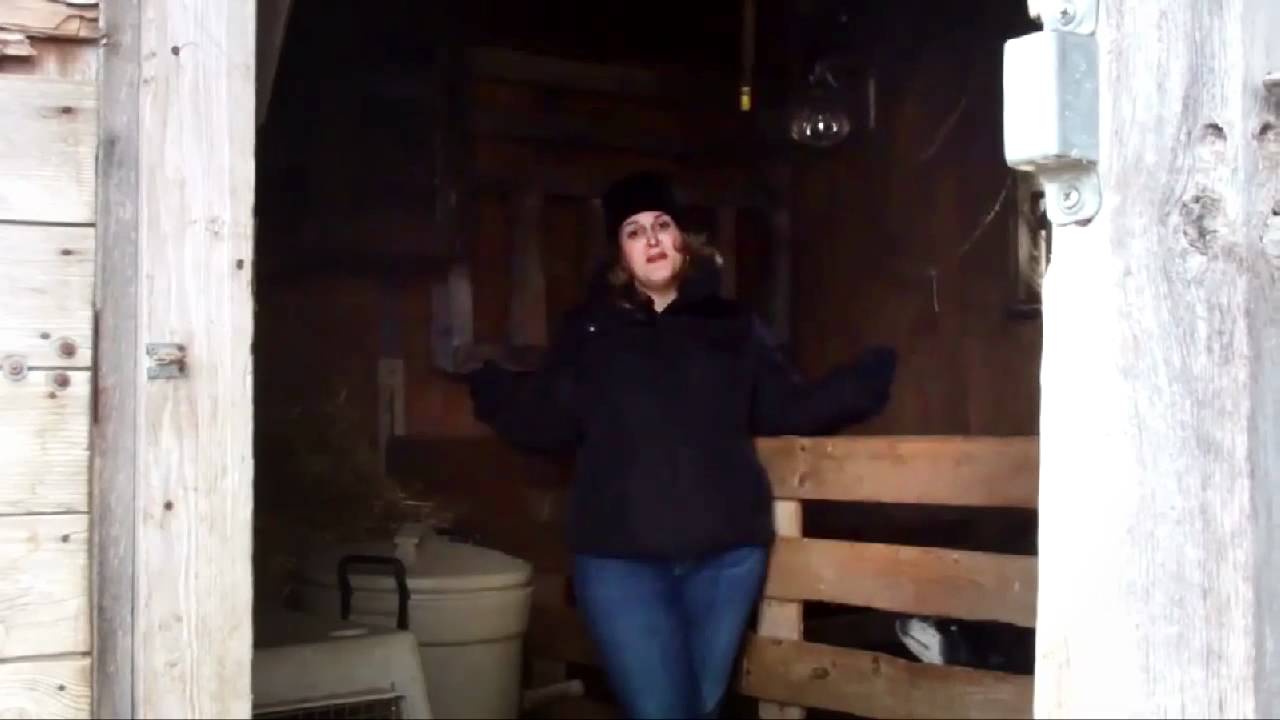 Little Acres Livestock farm