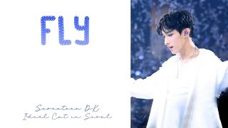 Seventeen (DK) - Fly Lyric (Han/Rom/Ina)