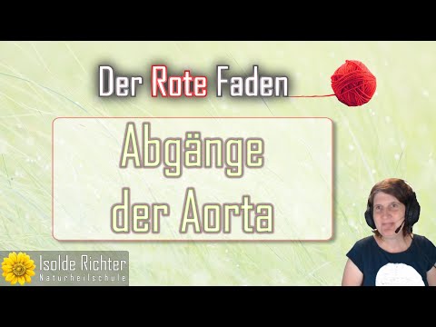 Abgänge der Aorta – Der rote Faden mit Andrea