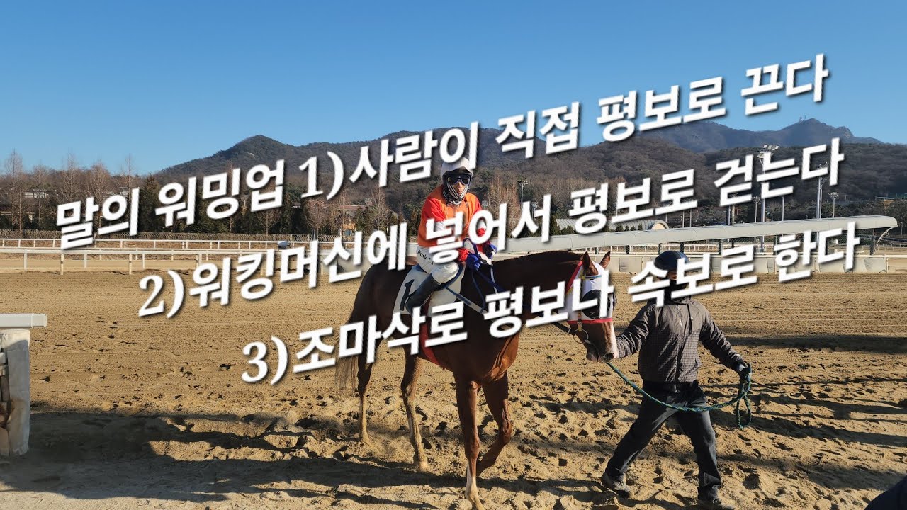 워밍업 1)사람이 끈다 2)워킹머신 3)조마삭