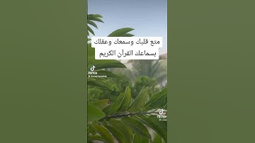 رسائل من القرآن الكريم.... تلاوات من القرآن...