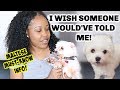 WATCH THIS BEFORE YOU ADOPT A MALTESE | THINGS NOBODY TOLD ME の動画、YouTube動画。