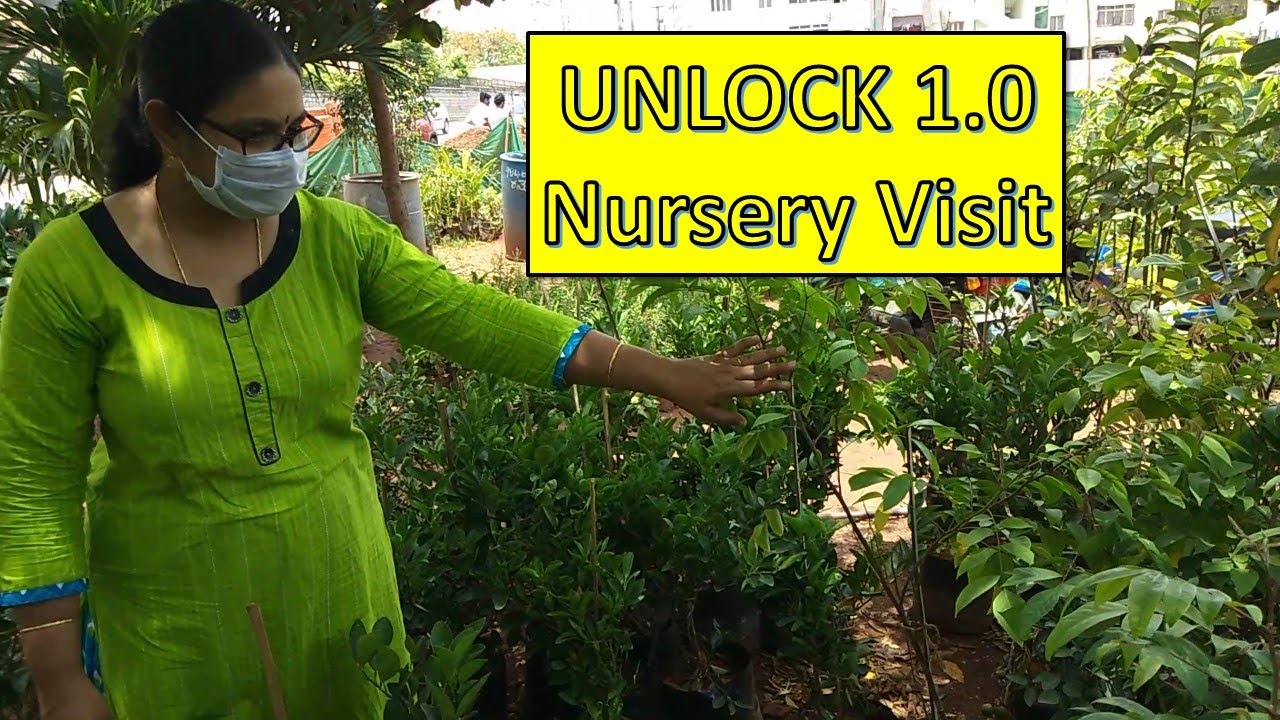 Rare Nursery plants in Hyderabad/ ఈ సీజన్ కి కావాల్సిన అన్ని మొక్కలు లభించే నర్సరీ