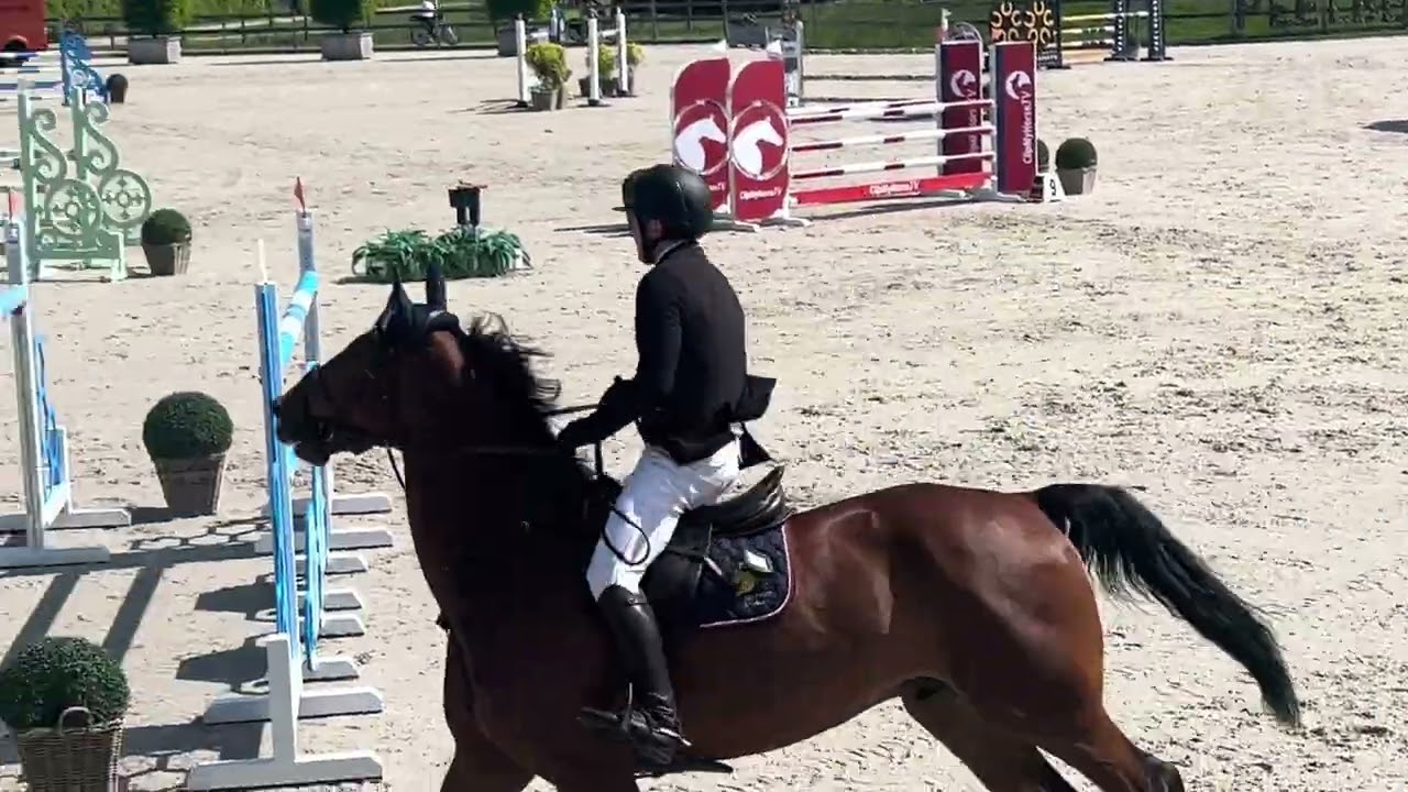 Corcon Blue. 6yo Class. CSI Peelbergen. May 2025.