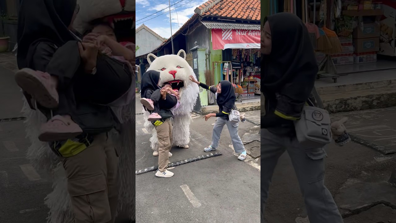 Alika dikasih umpan can macanan