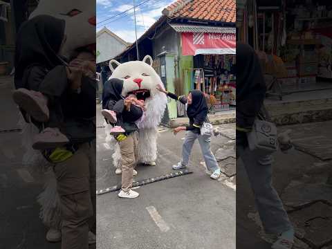 Alika dikasih umpan can macanan