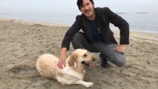 A Day With Chica  Part 5 - Markiplier