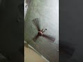 Fun 😂.......... #youtubeshorts #explorepage #comedyshorts #comedyvideo#funny#tending