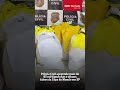 Polícia Civil apreende mais de 85 mil figurinhas e álbuns falsos da Copa do Mundo em SP