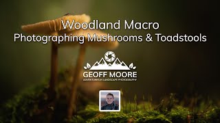 Woodland Macro Photography | Photographing Mushrooms & Toadstools | Geoff Moore Photography