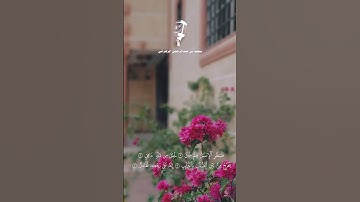 سورة الطارق تلاوة هادئة بصوت سعيد الزهراني