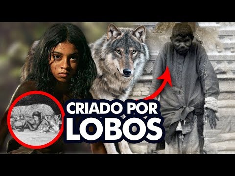 Vídeo: Quem foi criado por lobos?