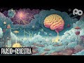 Pareidorchestra - Neurological Weather // Experimental Music - Electronic Progressive Fusion