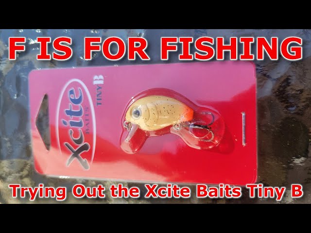 Trying out the Xcite Baits Tiny B 