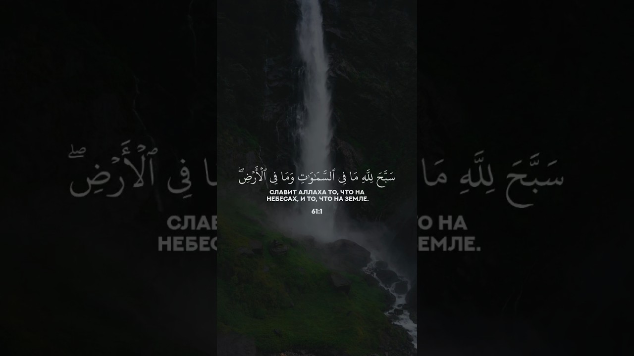 Сура 61 Ас-Сафф. Махди аш-Шишани