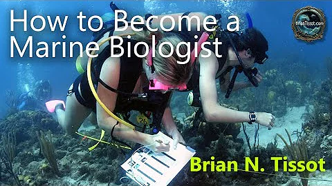 How to Become a Marine Biologist thumbnail