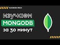 MongoDB: Все, что нужно знать за 30 минут