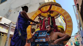 पुष्कर पुराना मंदिर चैत्र की सवारियां | सूर्य वाहन Old Rangi Temple Brahmotsava 21 March 2023