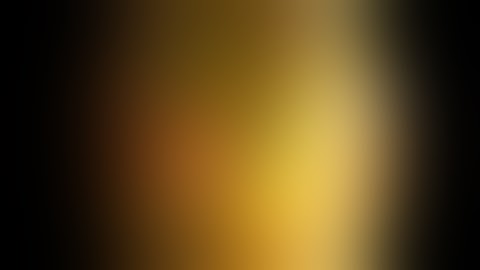 ERCP stone extraction with basket