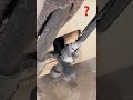 410 A remove gas #viral #lifeisbutadream #electrician #trending #ihavethisthwithplants #fepartnerta