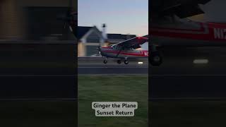 Ginger the Plane Sunset landing