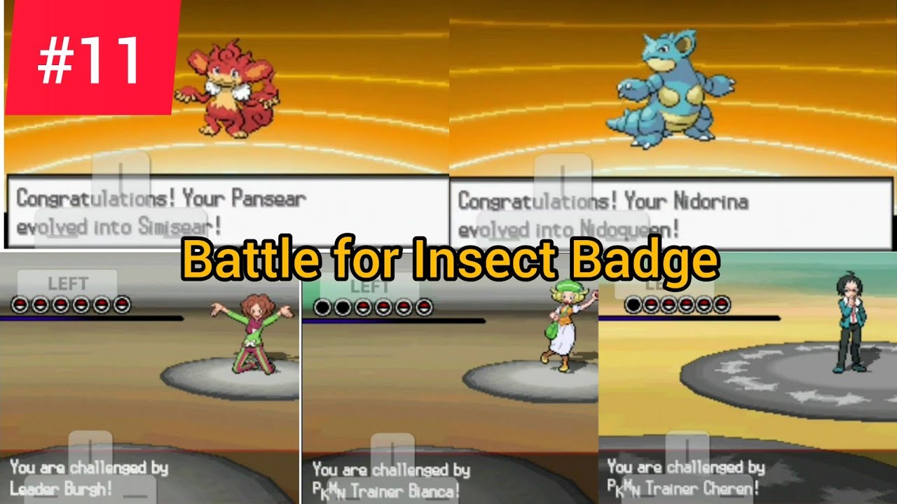 Let's Play Pokemon Blaze Black Part 11 Castelia Gym Leader Burgh