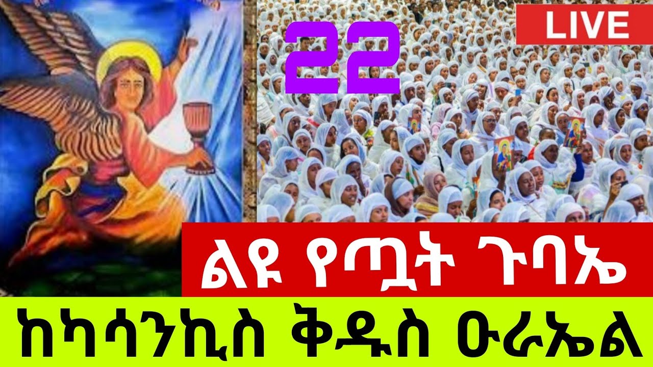 🛑Live#የካቲት 22ቀን የምኩራብ  የዐቢይ ጾም 3ኛ ሳምንት እለተ ሰንበት⭕️ ከደብረ ፅጌ ቅዱስ ዑራኤል የጧት ደማቅ ጉባኤ⭕️EOTC👉ኑኃሚን ሚዲያ‼️