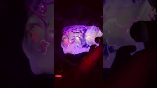 Bazyliszek Interactive Dark Ride Legendia #legendia #darkride #themepark #katowice #shorts