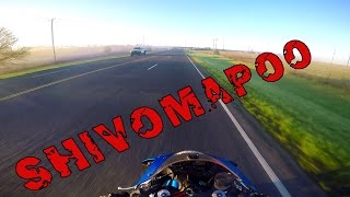 The Shivomapoo Story | Updates