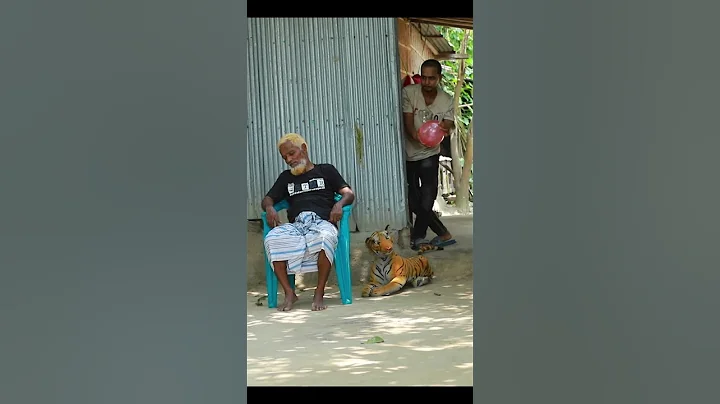 TOP FUNNIEST FAKE TIGER PRANK ON GRANDPA! | SAGOR BHUYAN