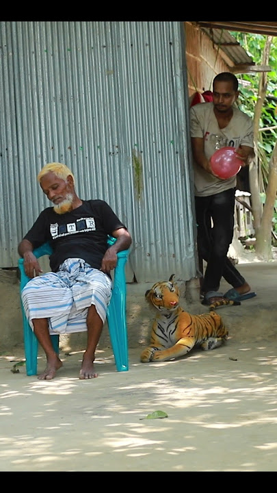 TOP FUNNIEST FAKE TIGER PRANK ON GRANDPA! | SAGOR BHUYAN