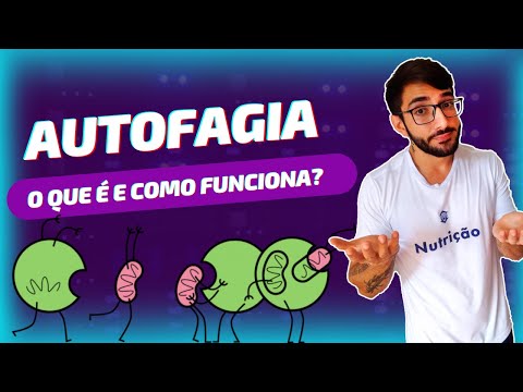 Vídeo: Efeito Anti-inflamatório Do óleo De Krill Ozonizado (Euphausia Superba) Em Macrófagos RAW 264.7 Estimulados Por Lipopolissacarídeos