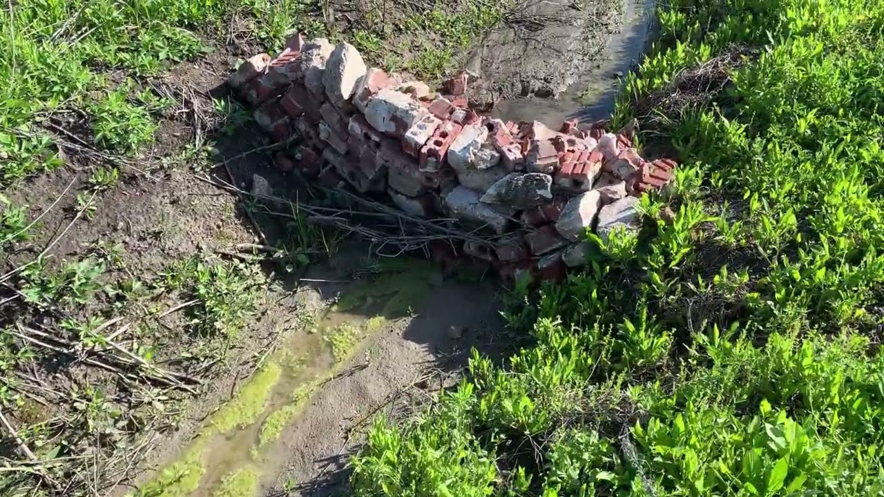 New Neighbors and RV on the Property - March 29, 2024