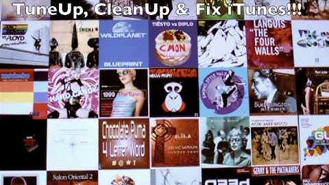 TuneUp, CleanUp & Fix iTunes!!! Fix iTunes Music Now!