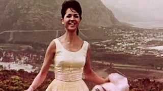 Flieknet Theme Piece - Afrikaans