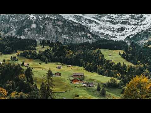 Ambyion & Shockline & Vidoux - Dreamer