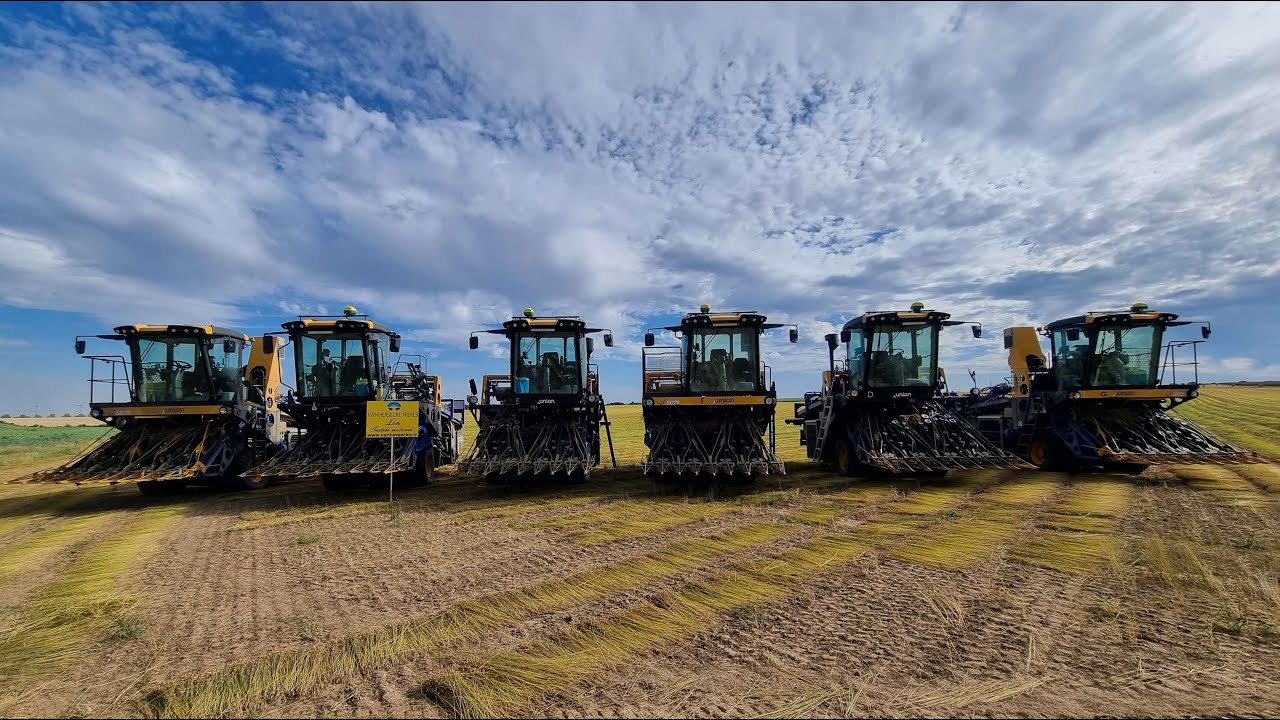 😍👌MEGA ARRACHAGE 2022 DE LIN😍👌