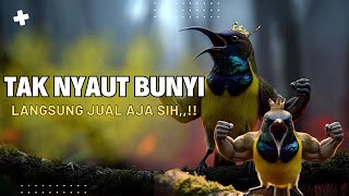 PANCINGAN SOGON GACOR ATASI SOGON TROTOL MACET LANGSUNG BUNYI PAGI SIANG MALAM part 33