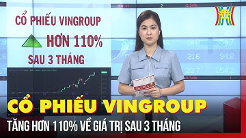 Cổ phiếu Vingroup tăng kịch trần ngày khởi công siêu dự án 20.000 tỷ đồng | Tin tức