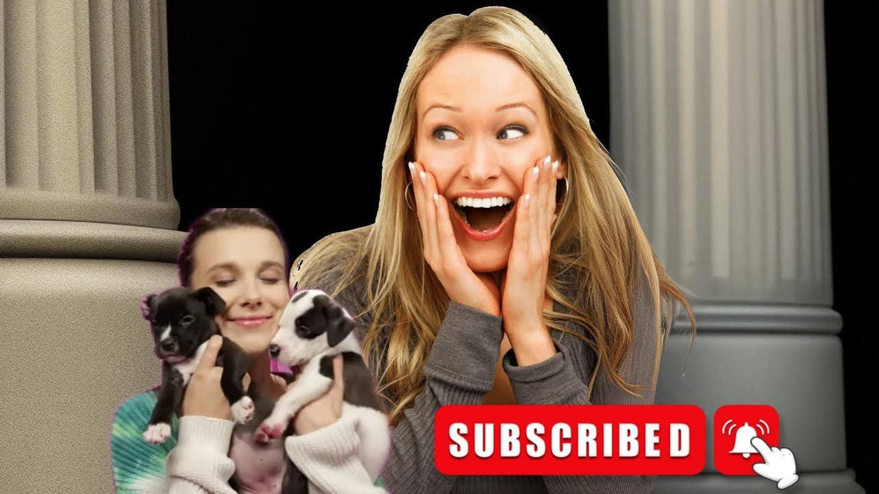 dog fact in hindi || hindi fact video || amazing dog fact video in hindi ||