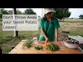 Don't Throw away your Sweet Potato Leaves