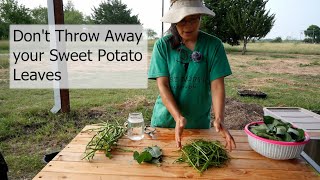 Don't Throw away your Sweet Potato Leaves