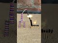 matchstick amezing 🤩 exmariment with Diwali crackers testing 🔥🧨#shorts#shortvideo#trending#experimt