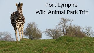 Port Lympne Wild Animal Park Trip - (March 2017)